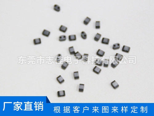 双孔抗干扰磁环
